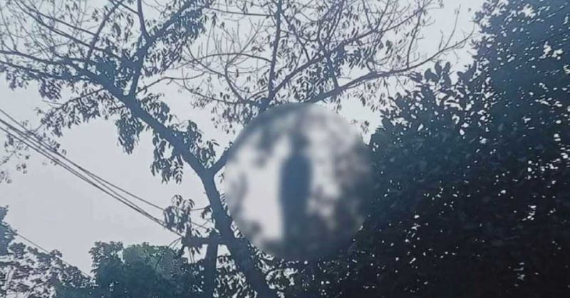 ঢাবির ক্যাম্পাসে গাছে ঝুলতে থাকা লাশের পরিচয় মিলেছে